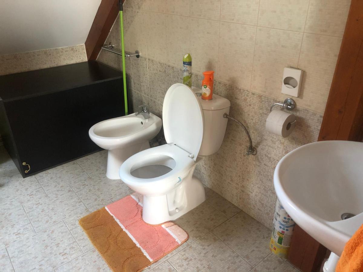 Ubytování pod Haniperkem Vodňany Exterior foto